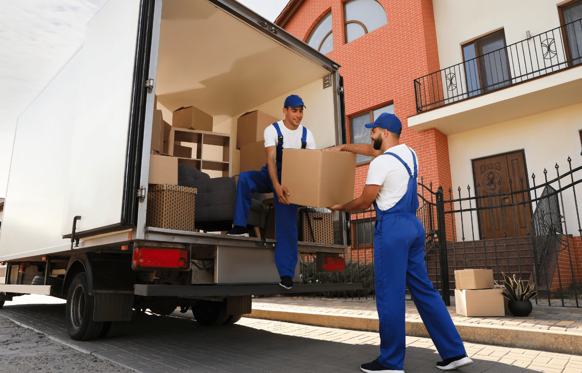 7 1 الرئيسية